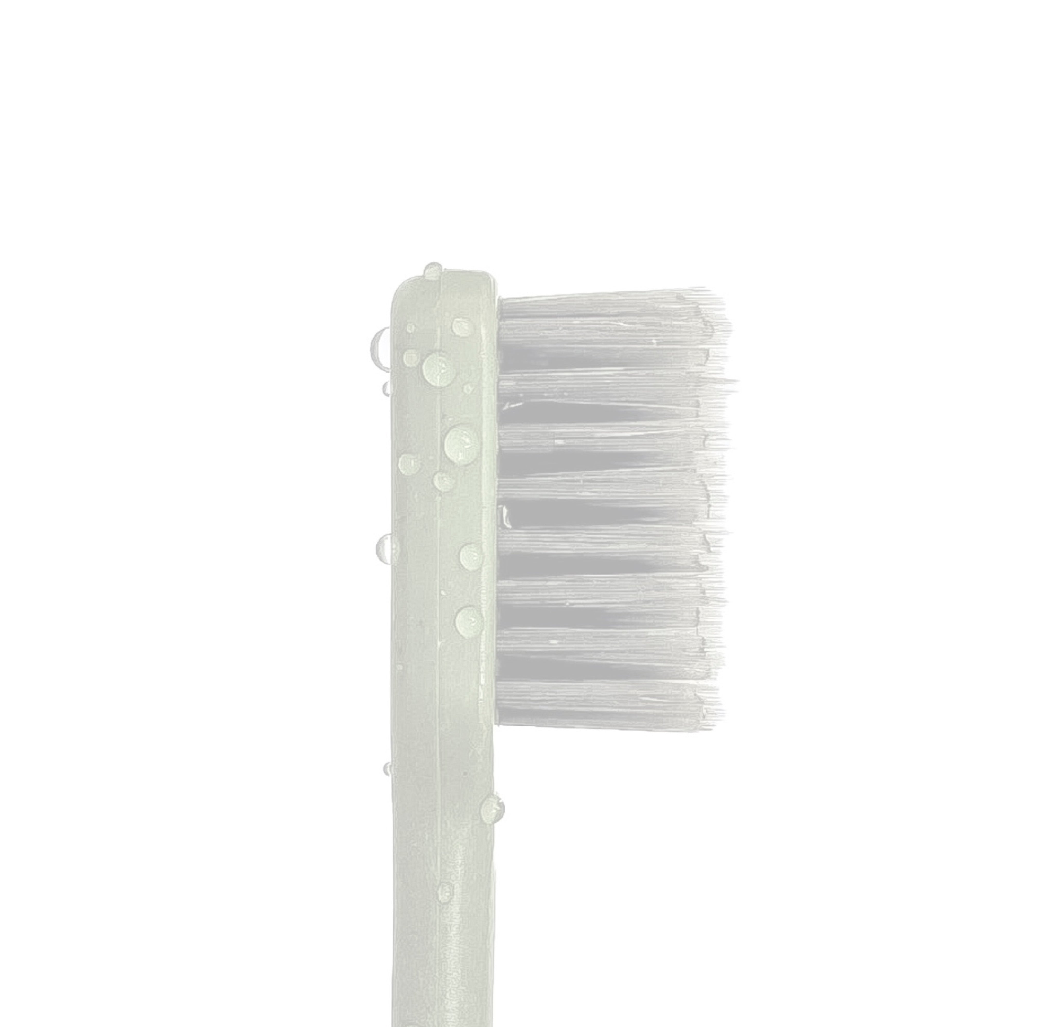 bundle-section-toothbrush.jpg